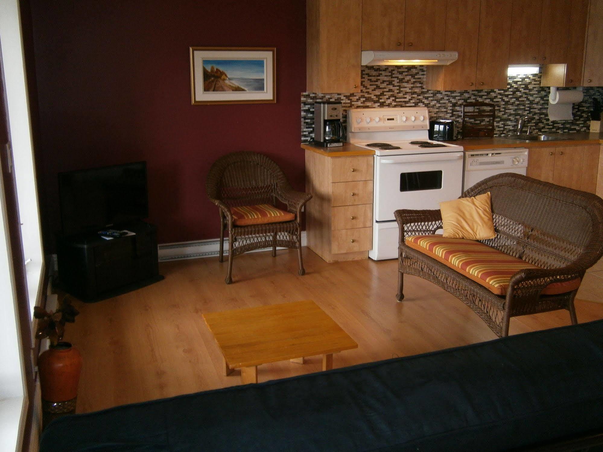Panoramique Du Fjord Apartment LʼAnse-Saint-Jean Екстериор снимка