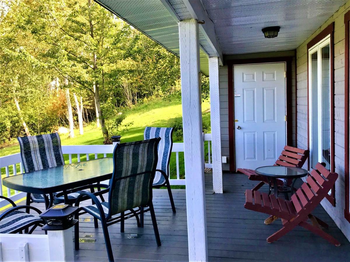 Panoramique Du Fjord Apartment LʼAnse-Saint-Jean Екстериор снимка