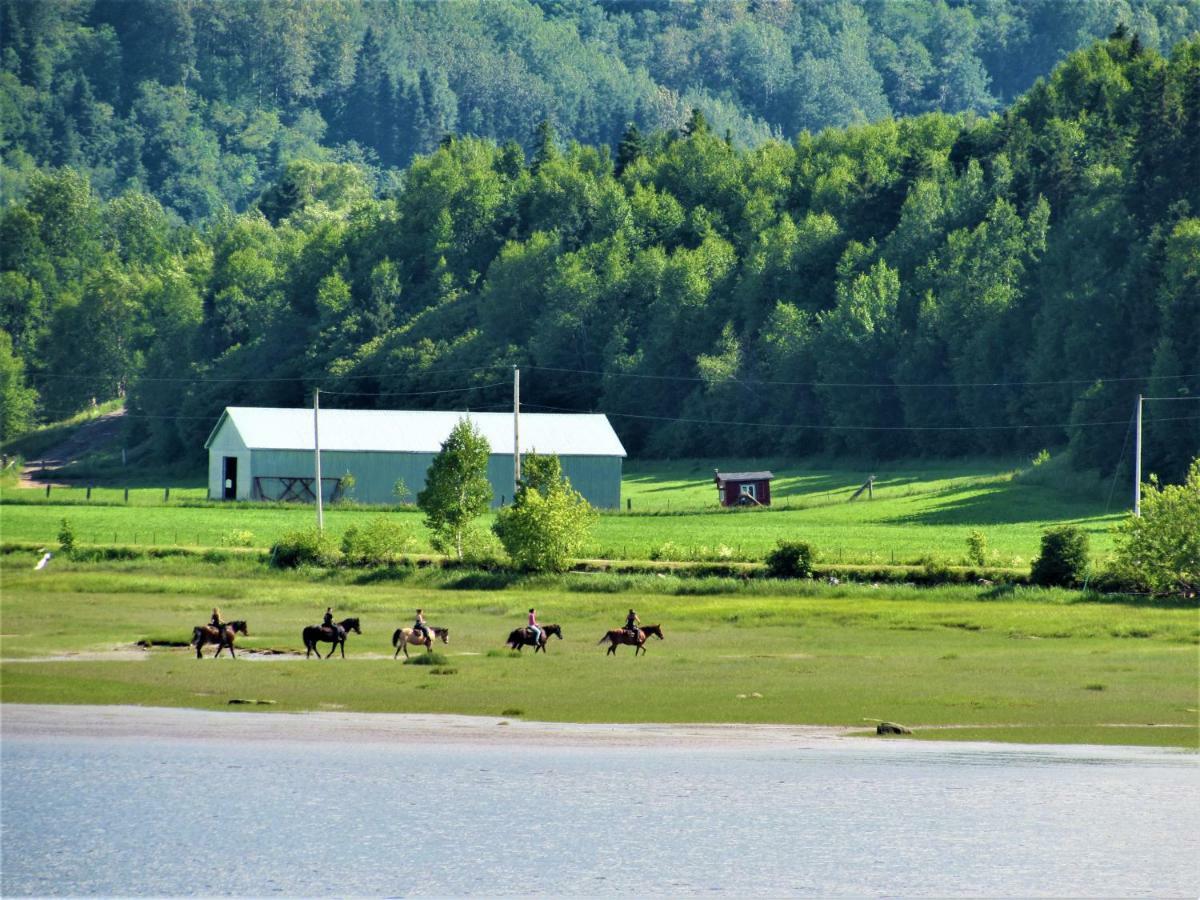 Panoramique Du Fjord Apartment LʼAnse-Saint-Jean Екстериор снимка