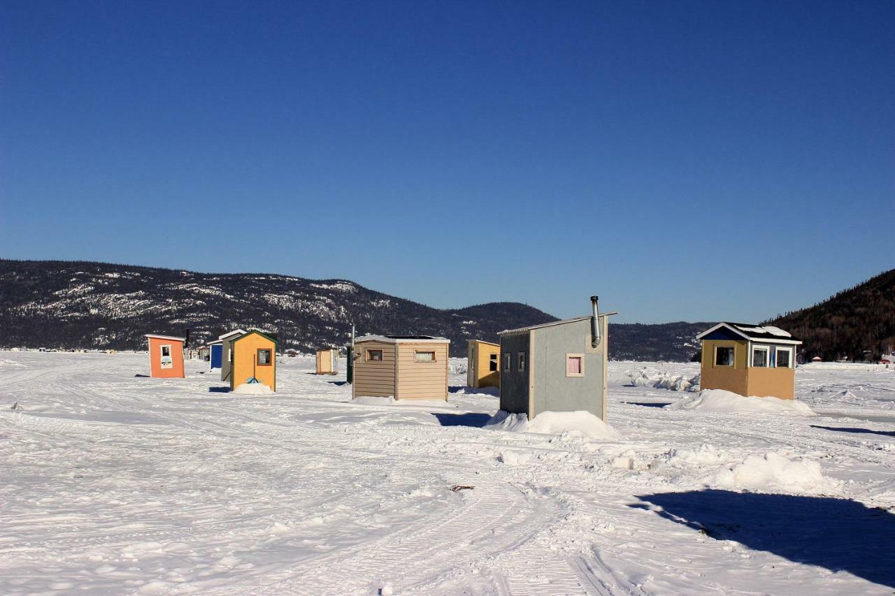 Panoramique Du Fjord Apartment LʼAnse-Saint-Jean Екстериор снимка
